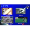 創(chuàng)新實驗室