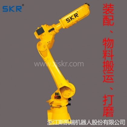 SR20 工業(yè)機器人 多關(guān)節(jié) 搬運機器人