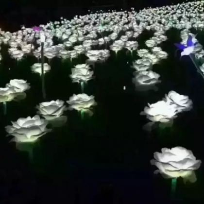 玫瑰花海出租公司在徐州 想出租玫瑰花海就選擇徐州