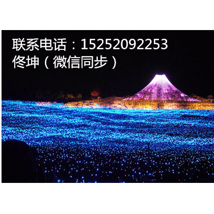 燈光節(jié)制作出租出售安裝LED造型燈廠家燈光節(jié)要投入多少錢