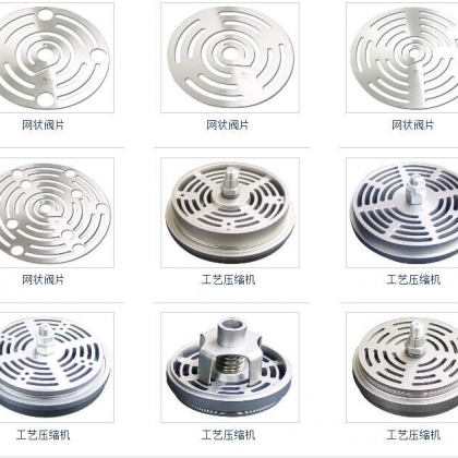 天然氣壓縮機進排氣閥
