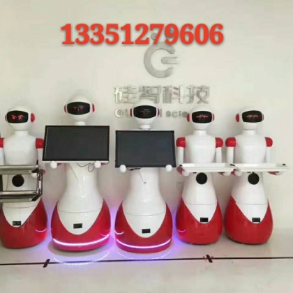 黑龍江硅智機器人公司是以哈工大技術(shù)為核心的自主研發(fā)型廠家