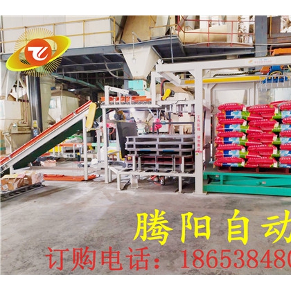 全自動龍門碼垛機(jī)應(yīng)用在化肥行業(yè)