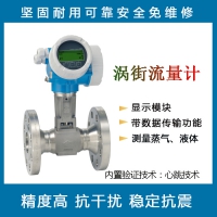 E+H F 200 渦輪蒸汽液體流量計 量計數(shù)顯高精度傳感器