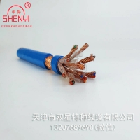 天津線纜廠生產(chǎn)本安阻燃計算機線纜ZR-IA-DJYPVRP