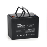 德國(guó)LeadCrysta動(dòng)力電池6-EVFJ系列（12V）