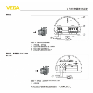 VEGAFLEX 81接線圖