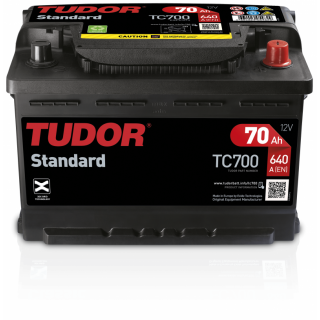TUDOR蓄電池TC系列