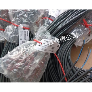 QRB1火焰檢測器德國西門子電眼