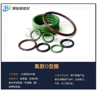 FDA食品級異型件SIL/EPDM/FKM/VITON密封圈